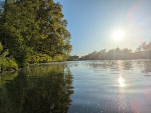 We need to fundamentally change the relationship between business and nature – but how?