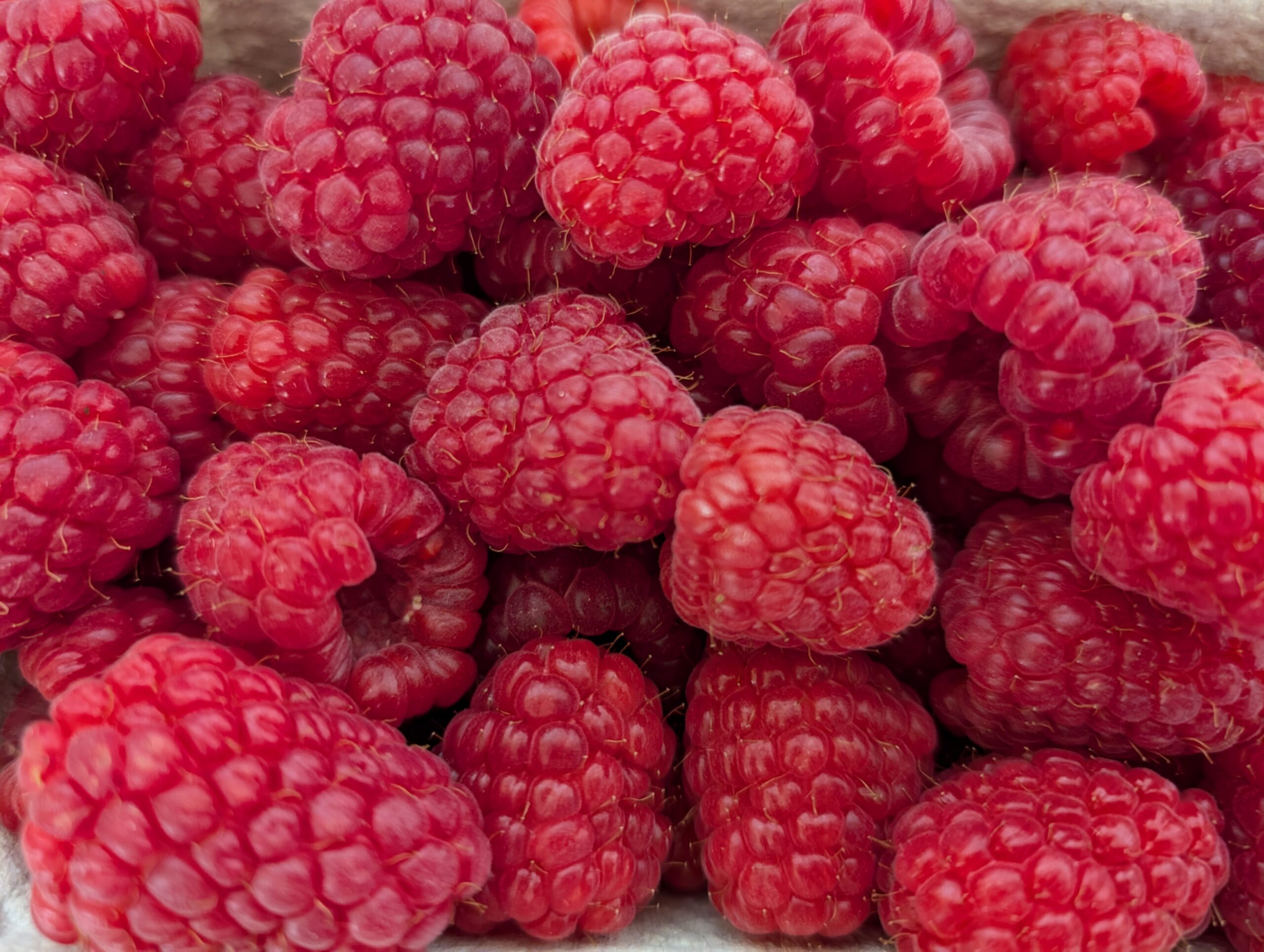 Raspberry, BreedingValue project