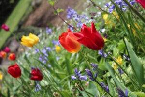 Last month was the third warmest April since records began in 1954