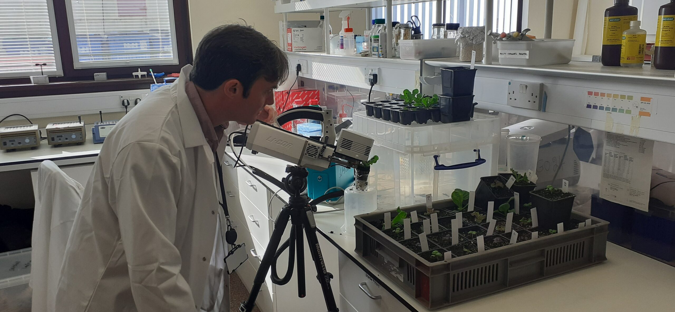 Dr Rob Hancock working in the lab