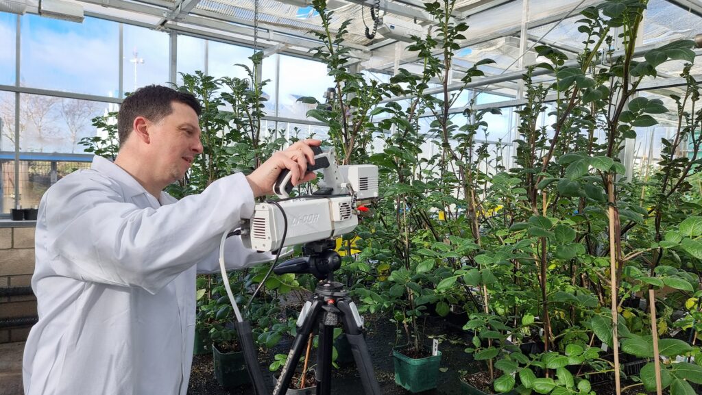 Dr Raymond Campbell, part of the team that discovered the role of germin3, measures photosynthesis in tuberising potatoes.