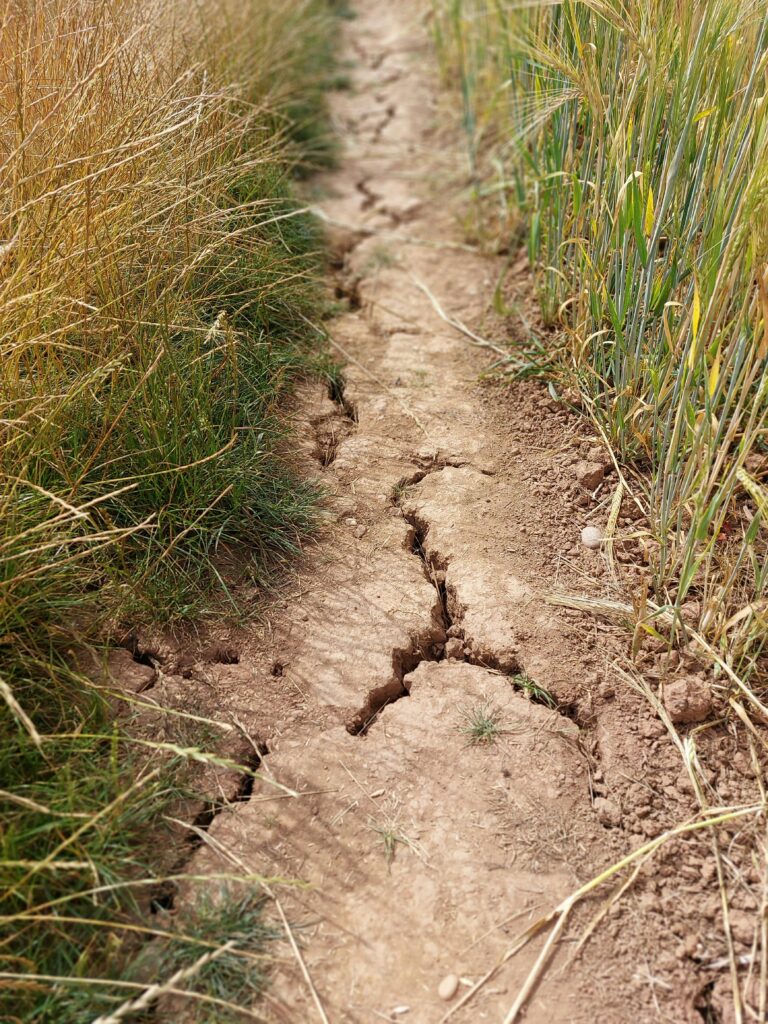 uk drought