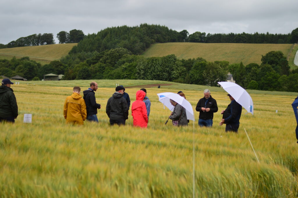 Cereal walk at The James Hutton Institute’s Balruddery farm