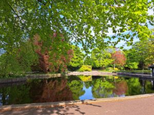 Stepping together – SEGS reflections on the Spring Step Count Challenge 2025