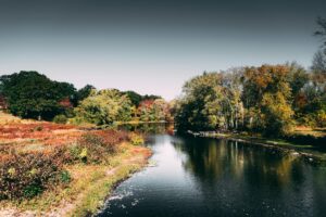 Review co-authored by Hutton researcher finds river health reporting may mask biodiversity gains