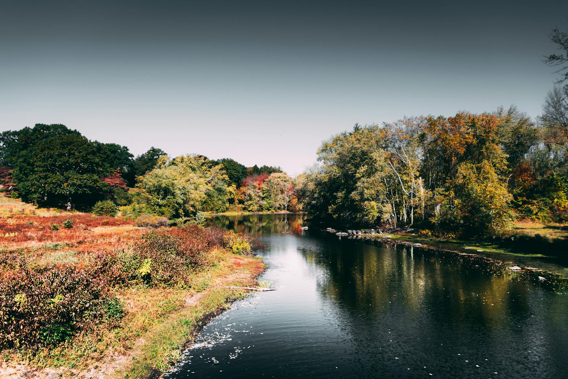 Review co-authored by Hutton researcher finds river health reporting may mask biodiversity gains