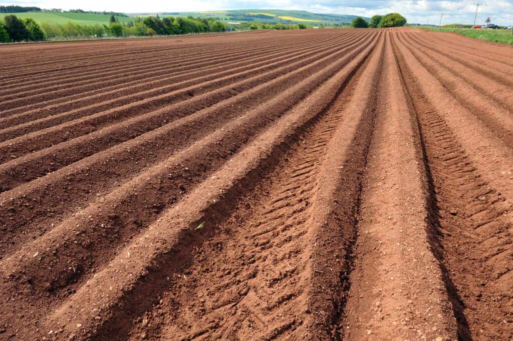 Field Soil Furrows