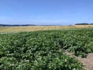 New project to cultivate agricultural knowledge