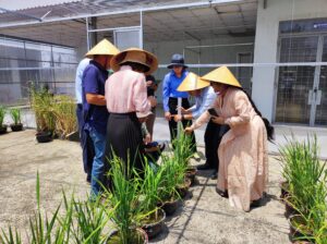 New digital tool set to modernise agricultural research and secure future food supplies