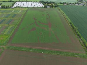 Head-to-Head: Hutton creates two field-sized portraits to mark tercentenary of namesake’s birth