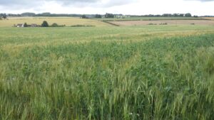 Arable Futures 2026: from uncertainty to action in Scottish agriculture