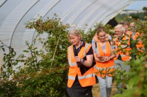 Fruit for the Future returns to showcase cutting-edge innovation in soft fruit breeding and technology