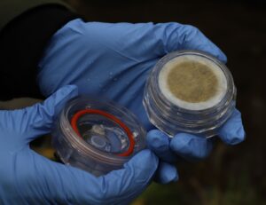 Roadmap to transform environmental monitoring using DNA technology