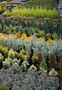 New project to strengthen DNA tools for detecting plant pests and diseases