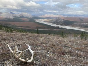 International review reveals importance of hidden Arctic root processes for climate change